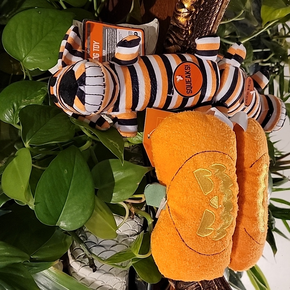 🎃 New Dog Halloween toys small Dog 🐕